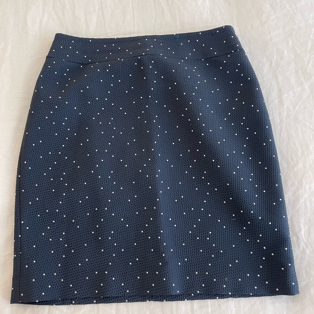 Ann Taylor Dark Blue & White Polka Dots Skirt
